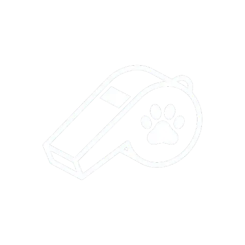 Whistle